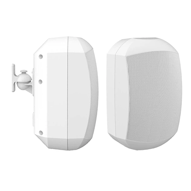 Best Wall Mount Speakers