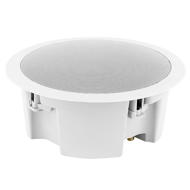 Ceiling Speaker With Cover