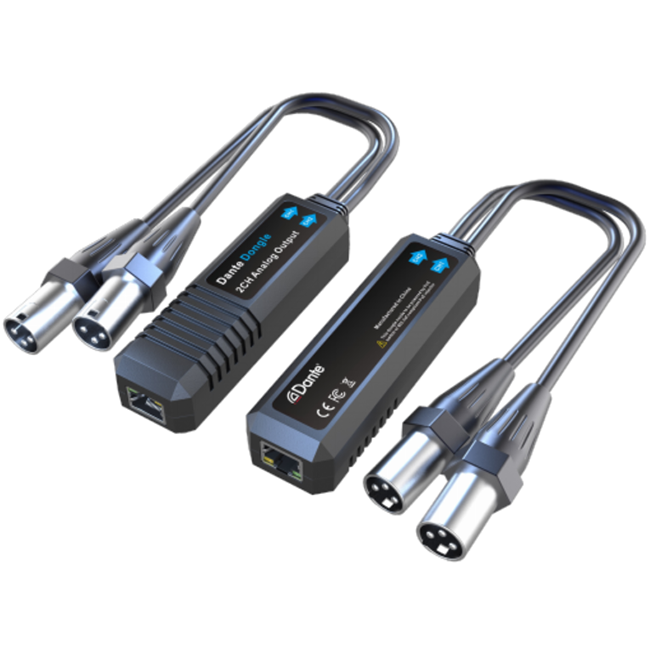 Dante a la salida analógica